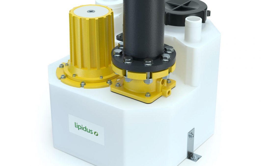 Lipidus Mini Compacta 60